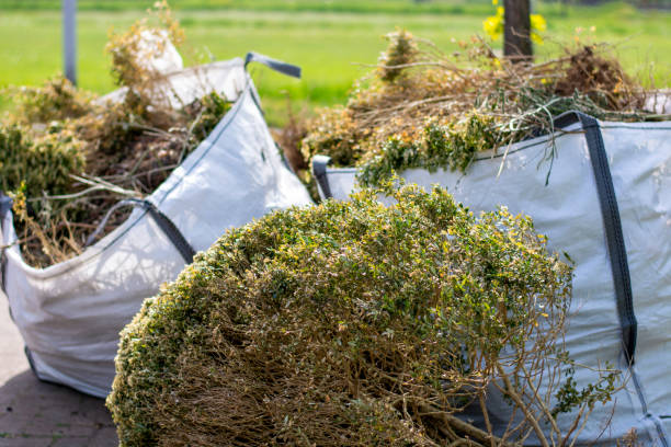 Best Construction Debris Removal  in Depew, NY